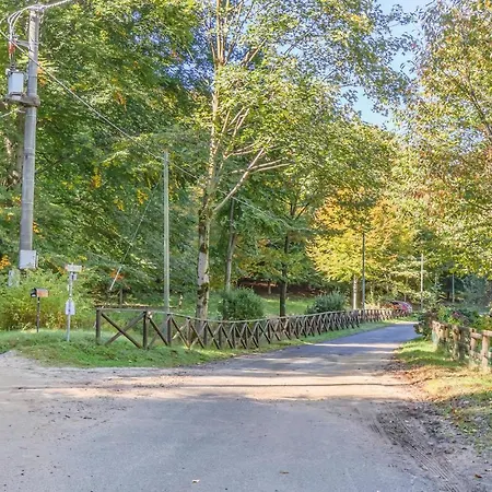 Gorgeous In Arto Arola (Piedmont)